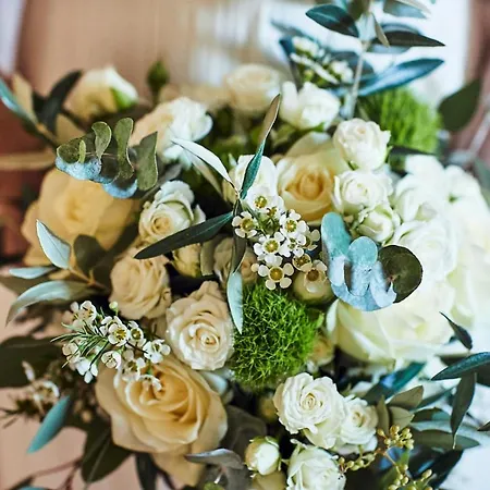 Castelli Di Napoleone *