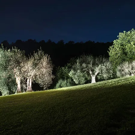 Castelli Di Napoleone *